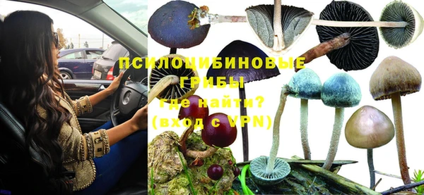 метадон Арсеньев