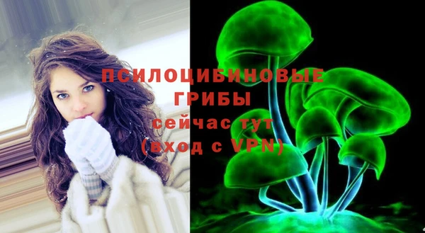 метадон Арсеньев